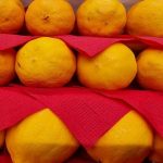 sa-har-okar-du-mangden-citronsaft-med-40-procent-ett.jpg